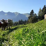 Berghof Burtscher アパート Ludesch