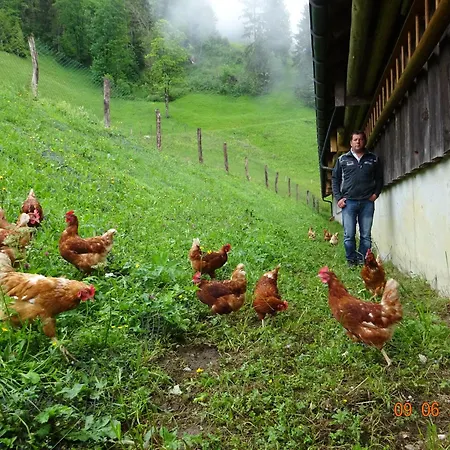 Berghof Burtscher Διαμέρισμα Ludesch