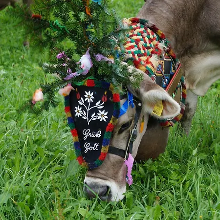 Berghof Burtscher Ludesch