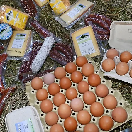 شقة Berghof Burtscher *