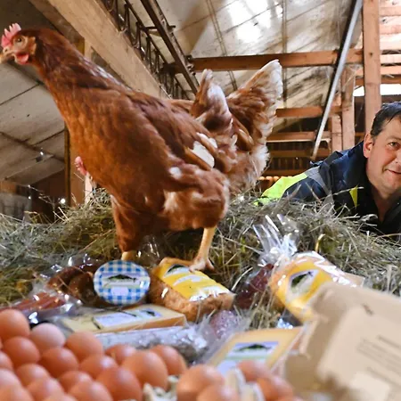 شقة Berghof Burtscher Ludesch