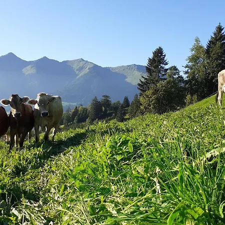 Berghof Burtscher شقة Ludesch
