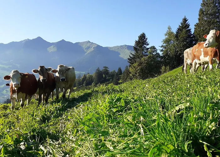 Berghof Burtscher Apartment Ludesch